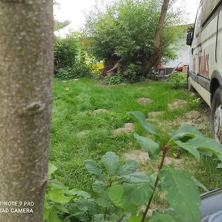 Vandorsolyom Campingplads
